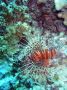 07Moorea - 23